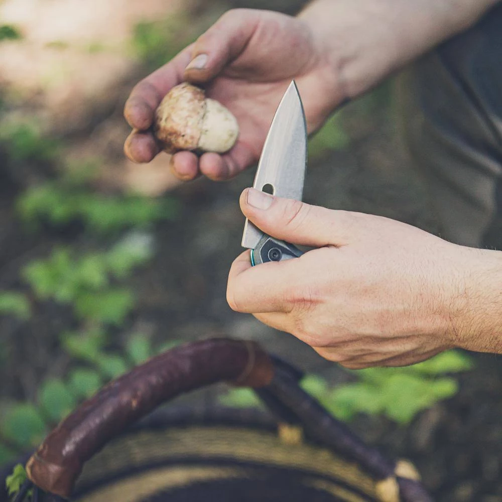 Sumo 3.9 in. Straight Edge Folding Knife by Gerber - Image 6