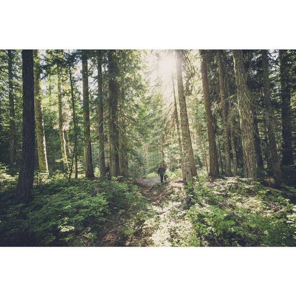 Sumo 3.9 in. Straight Edge Folding Knife by Gerber - Image 7