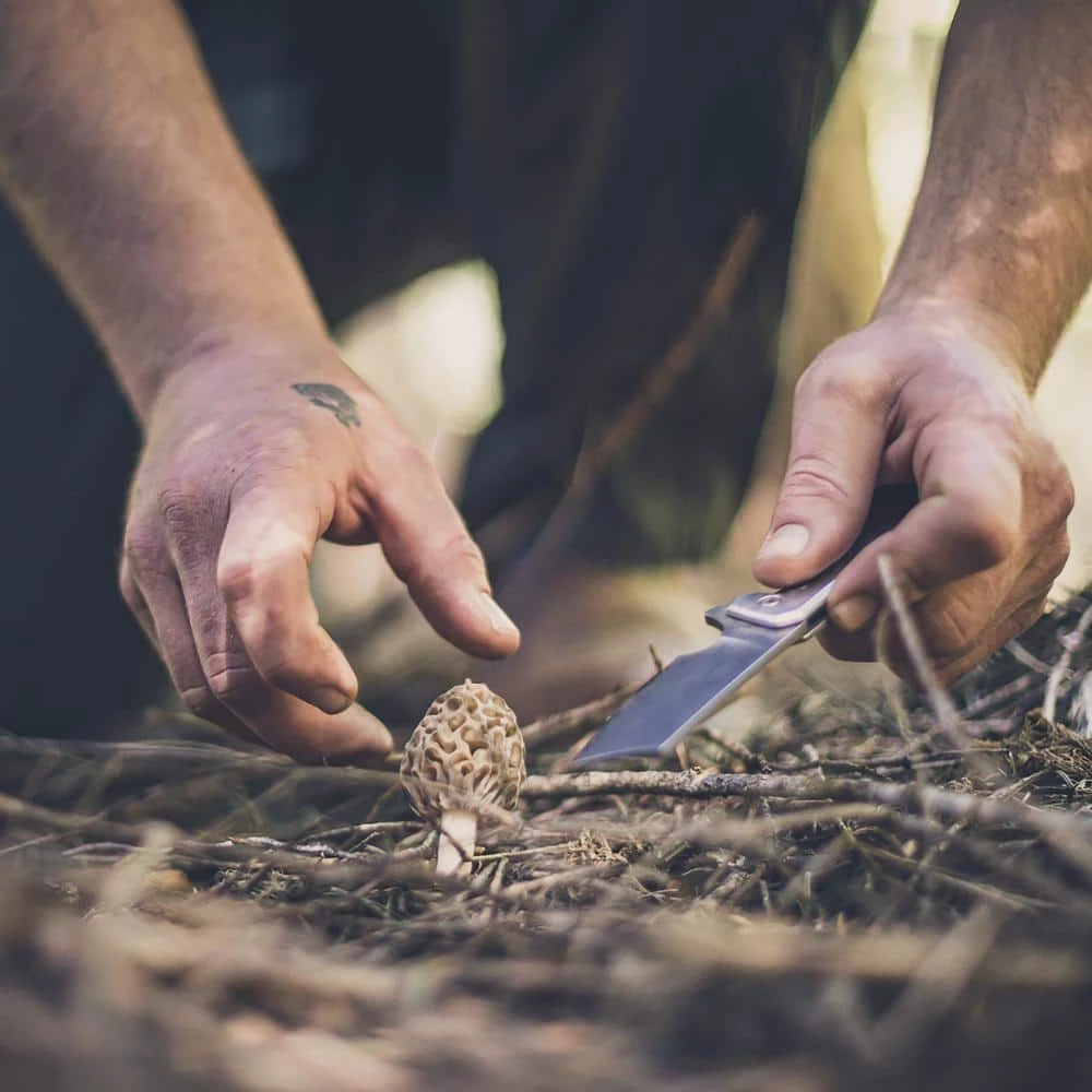 Asada, 2.6 in. Flipper Pocket Knife, Folding Cleaver by Gerber - Image 8